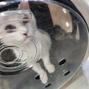 펫홈종합동물병원 이미지