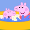 애니피그 이미지