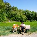 다한농장 이미지