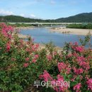 꽃길 이미지
