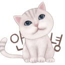 냥이 이발소 이미지