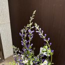 (주)디자인오아시스