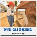 병아리체험농장 민박 | 용인 아이랑 가볼만한곳 실내 무럭무럭농장, 깨끗한 동물체험 솔직후기,가격,정보