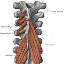신탄진탑한의원 이미지