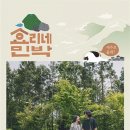 1월 민박 이미지