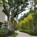 아난티펜트하우스, 서울 이미지