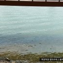 백운 PC 이미지