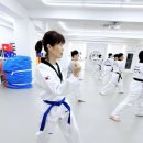 태아일체 선호 태권도장 이미지