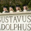구스타브 이미지