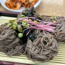 서안메밀집 | [경기/부천] 부천소방서맛집, 순메밀100% 소바 : 서안메밀집