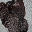 다비다펫푸드 이미지