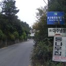 용정탕