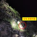 강구종합정비 이미지