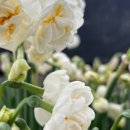 선화농장 이미지