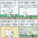 2021 청양 희망콘서트 | [2025년 결산 RECAP] 올해의 어워드