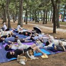 펫 - 양주시 북한산로 924 | 펫