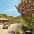 강원도 왕곡마을 | 고성 전통 한옥마을 (+ 주차정보, 동주 촬영지)