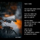 가을비 / 도종환 이미지