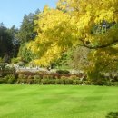 더건국공인중개사사무소 이미지