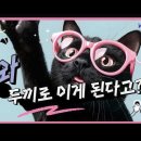 와, 이게 두끼로 가능해? [유니언스랩의 대체식의 효능] 이미지