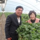 수정여성경로당 이미지