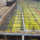 로이하우스 이미지