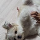 황오빠