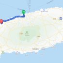 금성 담쟁이 이미지