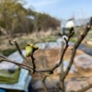 태리농장 이미지