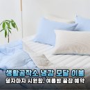 올여름 필수템! 생활공작소 냉감 모달 차렵이불 패드 세트 써봤어요