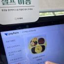 안양 아이와 함께 식사 오므파탈 금정 솔직 후기