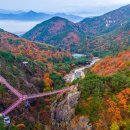 "이번 주말 시간 있으시면 당장 가보세요" 여긴 다른 지역이랑 ‘급’이 달라요 이미지