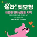 2024-04-0004 올치올치