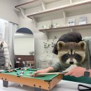 (주)금영 | [공간 이룸] 대구 공간 대여 이색 데이트 다녀온 후기 │ 모임·파티·스터디 장소로 추천 ⭐