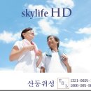 skylife 위성 안테나(채널 100% 시청, 무료 A/S) 이미지