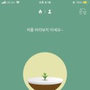 포레스트(Forest)