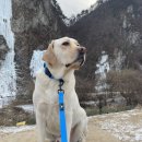 푼타하우스 이미지