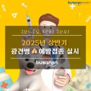서면Q 외과 동물병원 | 2025년 상반기🐶광견병 예방접종 실시💉