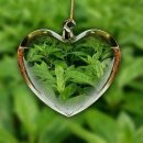 태극농장 이미지