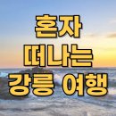 완주힐링로드시티투어 2코스 | 혼자 떠나는 강릉 여행 나만을 위한 완벽한 힐링 코스!