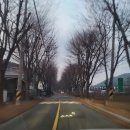 진접JJ스크린 골프존 파크 | 남양주 최대 규모 진접 스크린 골프장 이용 후기