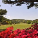 광주컨트리클럽 이미지