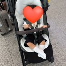 꾸러기유모차 | 여행_1] 청주공항 노브랜드버거, JAR렌트카, 꾸러기유모차, 마미포유, 제주첫날 숙소, 투접시족발, 여기...