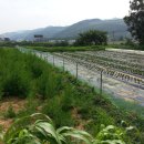 석계농장 이미지