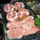 중계고기파티 이미지