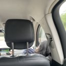 강애산애 이미지