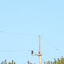 낙동강변6 이미지