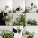 245스튜디오(245STUDIO)