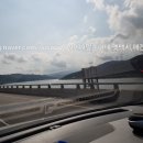 양평애견택시 이미지