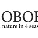 카페소복 이미지